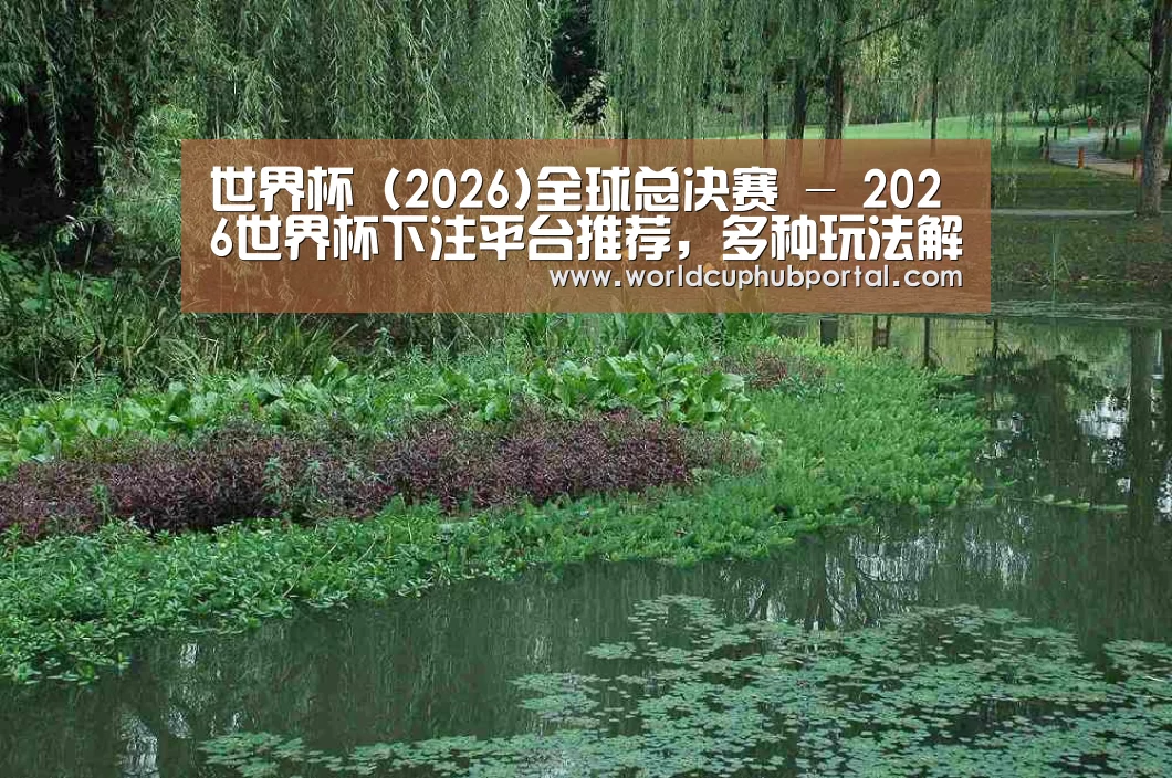 案例展示一(图1)