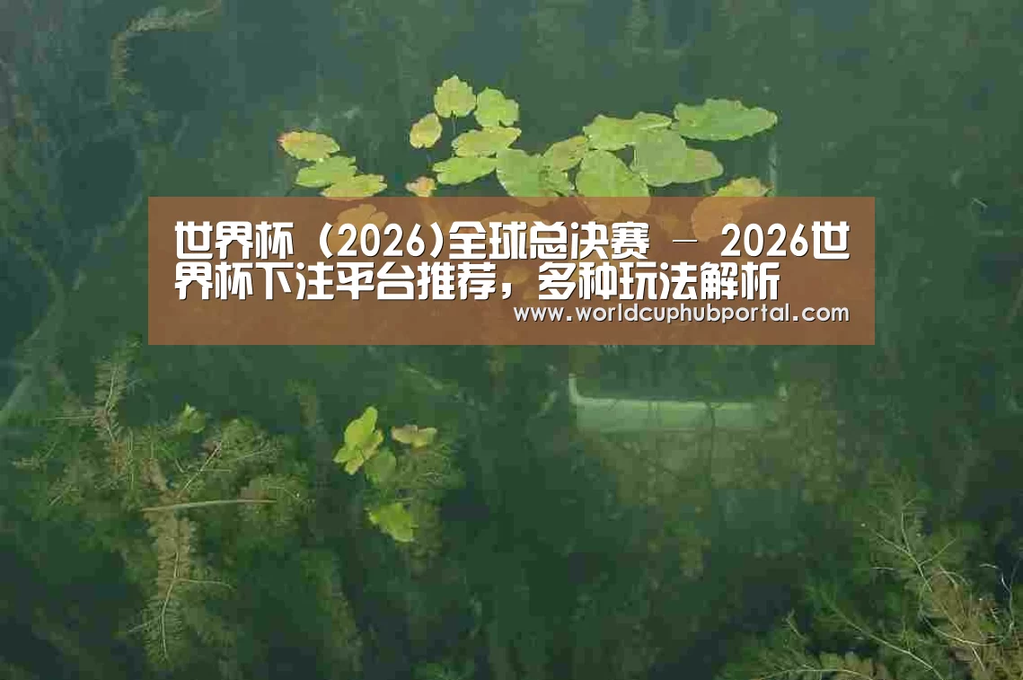 案例展示三