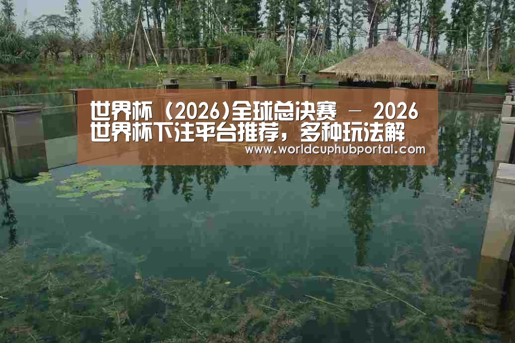 案例展示二