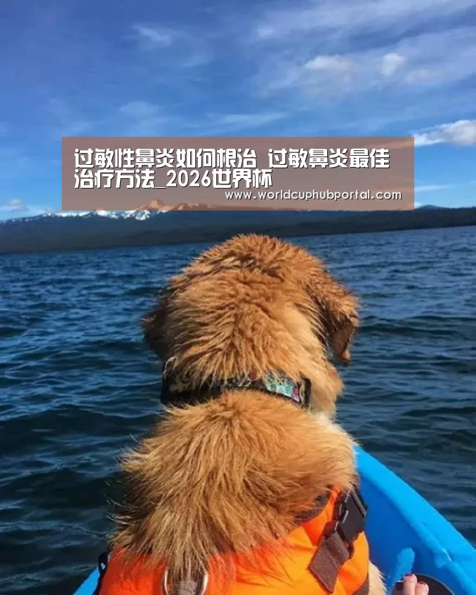 世界杯买球网站