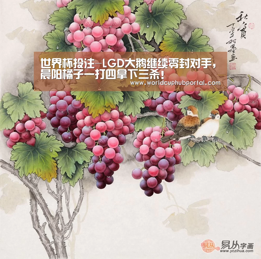 2026世界杯