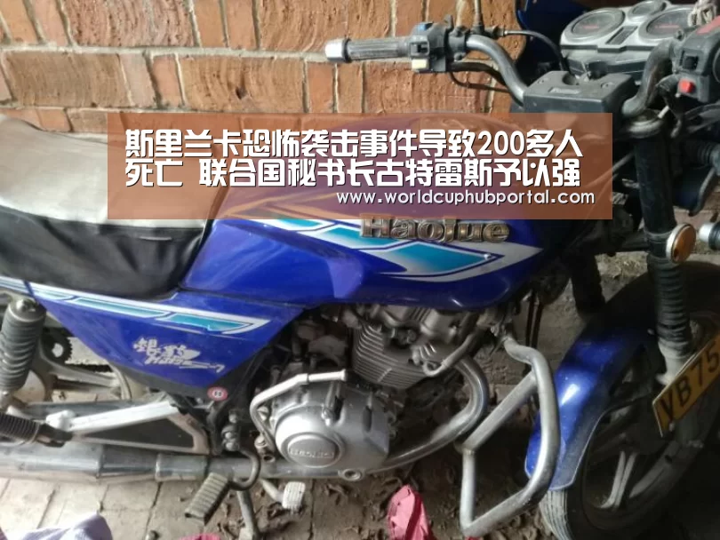 世界杯投注