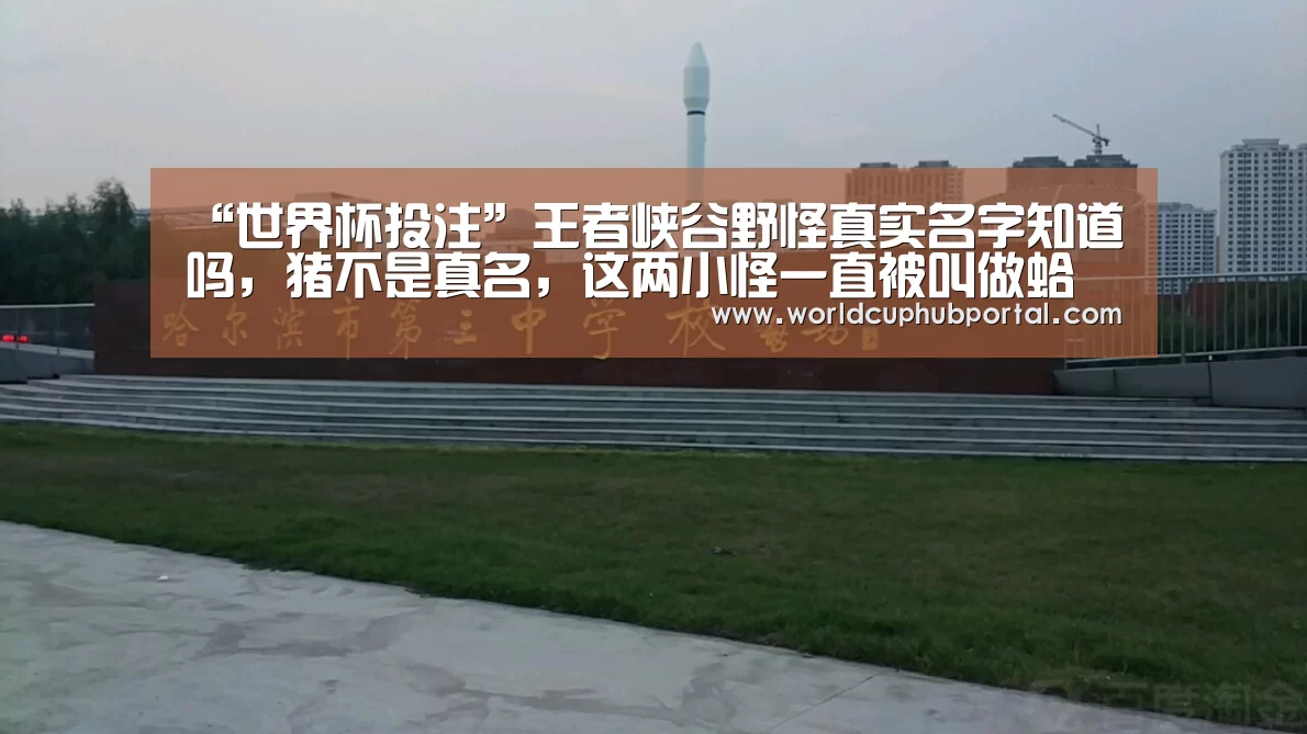 世界杯买球网站