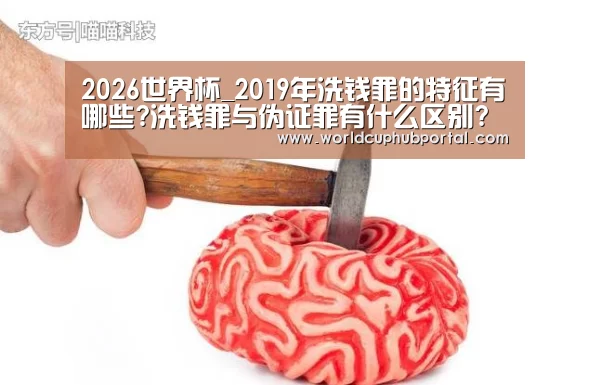 2026世界杯_2019年洗钱罪的特征有哪些?洗钱罪与伪证罪有什么区别?(图1) 世界杯买球网站